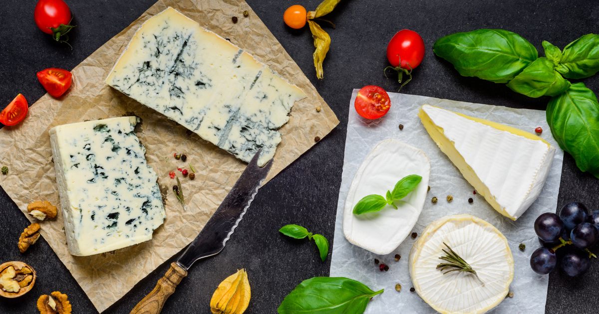 Soft Cheese from around the world, an introduction