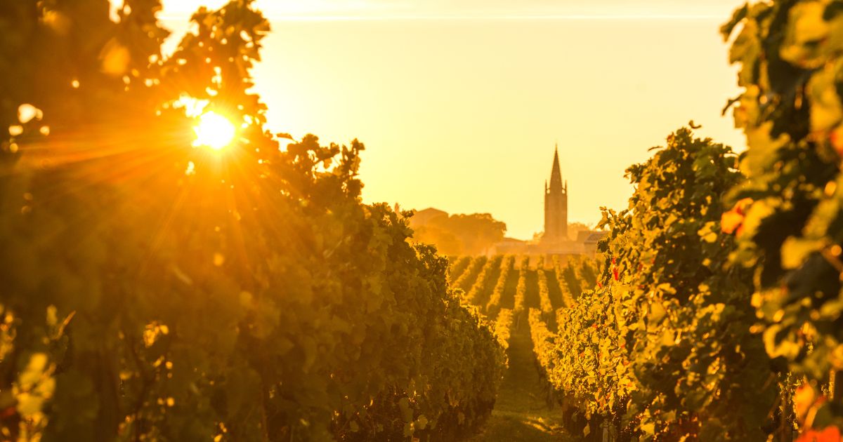 The 10 Oldest Houses of Bordeaux Wine That Still Exist