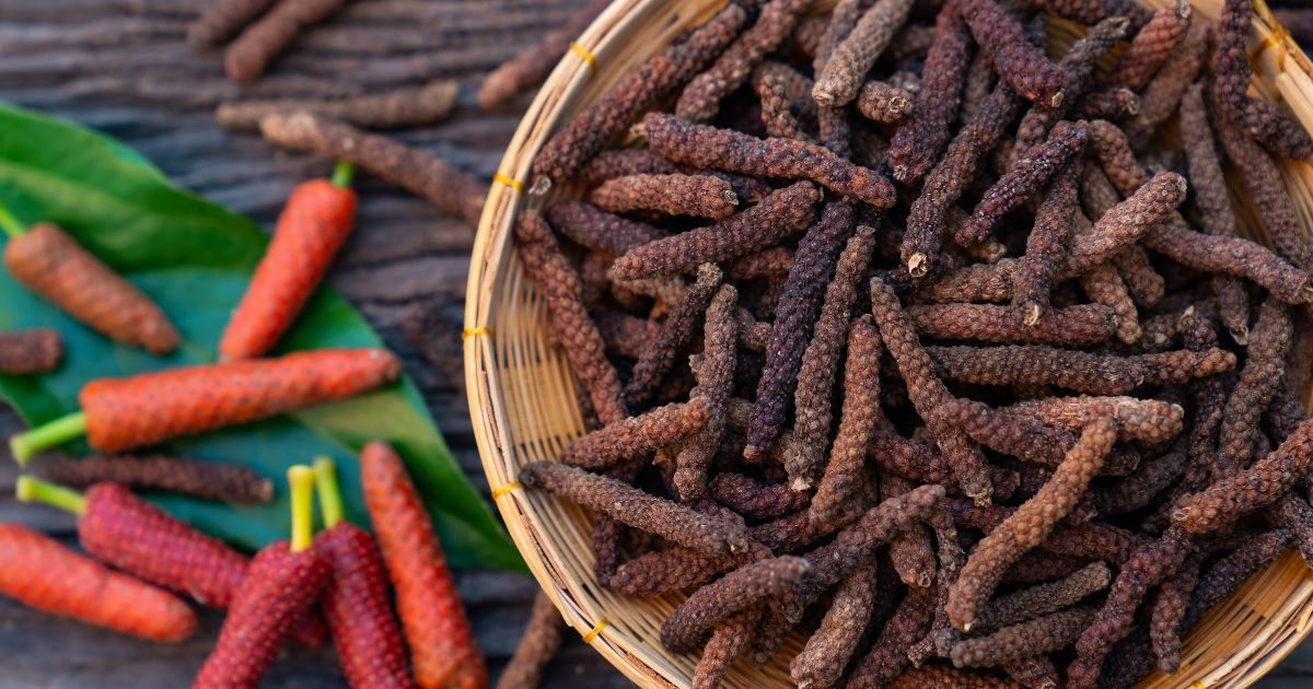 Long Pepper: A Journey Through Spice and Time