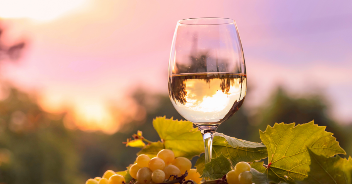 White wine from around the world, a small guide